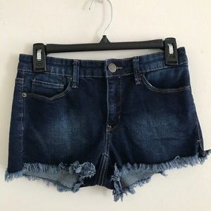 Dark Wash Low Rise Jean Shorts